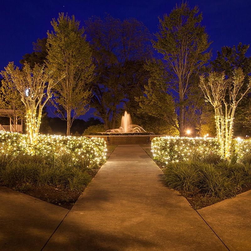 Commercial Holiday Lighting